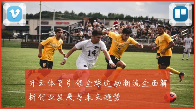 开云体育引领全球运动潮流全面解析行业发展与未来趋势