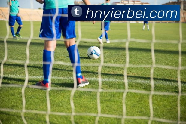 开云平台生态图